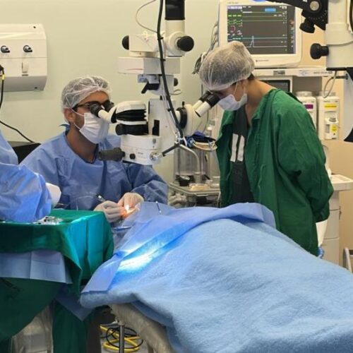 Instituto Estadual de Olhos realiza milésima cirurgia de catarata em idosa no Estado