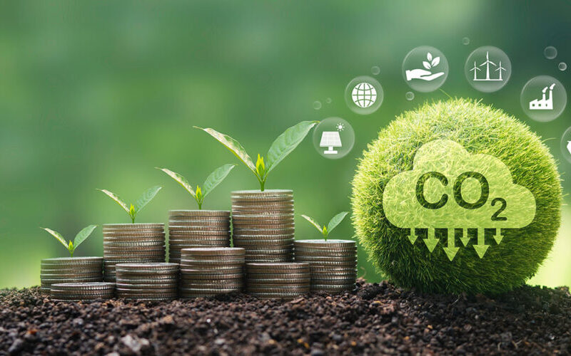 Economista critica transição energética via mercado de carbono