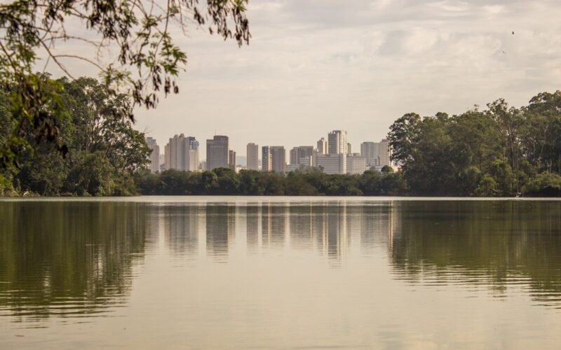 Movimento de médicos quer colocar a saúde na pauta da COP30 e prepara ações que incluem marcha global