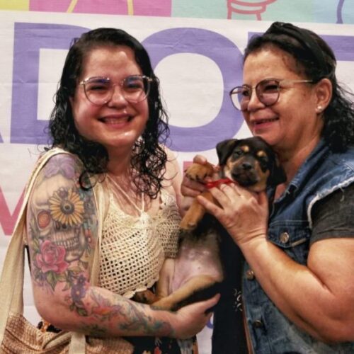 Adoção de Cães e Gatos marca o início de campanha histórica em Nova Iguaçu