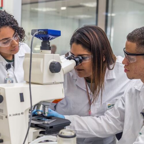 Petrobras abre mais de 700 vagas para jovens aprendizes em 13 Estados e no Rio de Janeiro