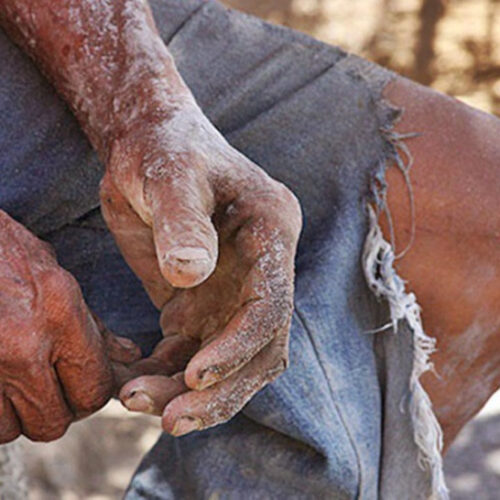 28 de janeiro – Dia Nacional de Combate ao Trabalho Escravo
