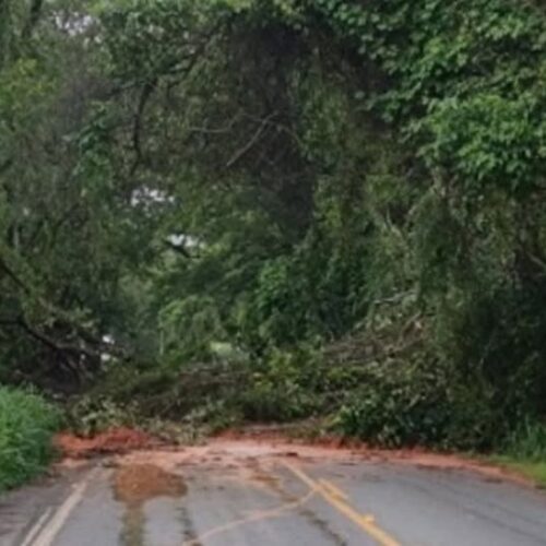 DESLIZAMENTO INTERDITA ESTRADA QUE LIGA BARRA MANSA A BANANAL